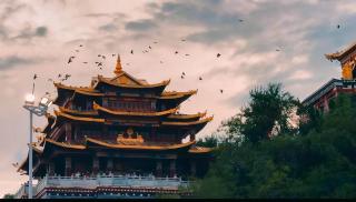 Shangri-La Memory Homestay - 0