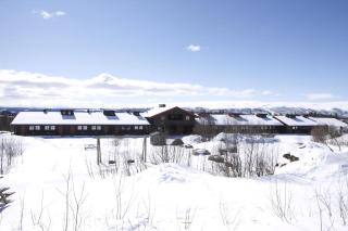 2-Bedroom Apartment With Balcony & Fireplace! - 3