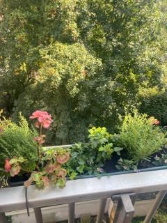 Spacious Room with private king bathroom - 7