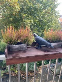 Spacious Room with private king bathroom - 4