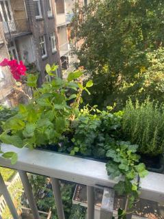 Spacious Room with private king bathroom - 1