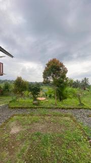 Rinjani Edelweis Homestay - 2