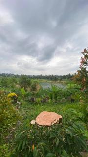 Rinjani Edelweis Homestay - 8