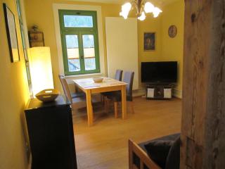 Ferienwohnung-Schoenmuenzblick-Urlaub-im-Nationalpark-Schwarzwald-Schwarzwald-Plus-inklusive - 9