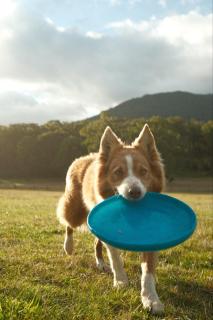 Paddock & Peak by Tiny Away - 1