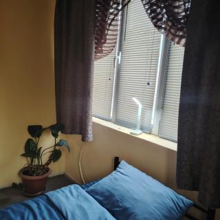 Clara Family Room - 7