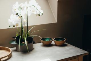 L'Air du Pré - loft 5p - Mariomont - 2