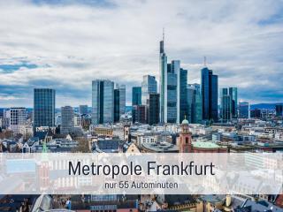 Dahem-Apartments - ruhig Parkplatz Rhein Main Gebiet gut erreichbar - App 1 barrierefrei mit Kamin Garten und Hund - App 2 mit Balkon - 8