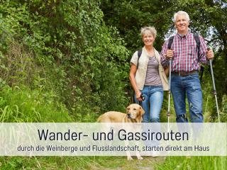 Dahem-Apartments - ruhig Parkplatz Rhein Main Gebiet gut erreichbar - App 1 barrierefrei mit Kamin Garten und Hund - App 2 mit Balkon - 4