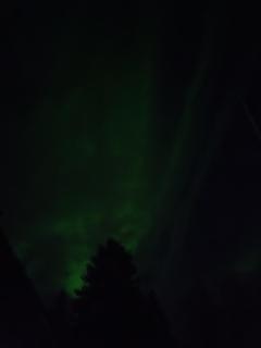 Resort Selekosten Tunto - 6