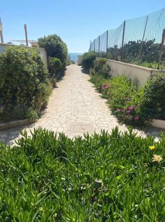 Oasi sul mare - spiaggia a due passi - 8