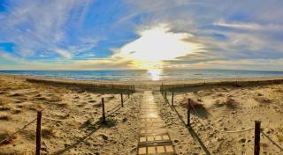 Oasi sul mare - spiaggia a due passi - 3