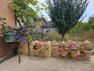 Urban Nest Negotin - 8