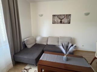 Pine forest apartments - 6