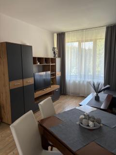 Pine forest apartments - 7