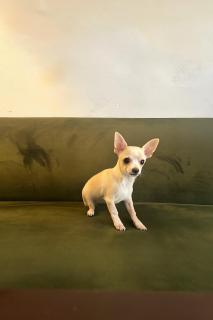 Bookinn B&B Welcome to Vilnius' Old Town - 8