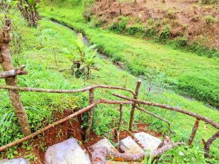 Ciwidey Jungle Camp & Cabin - 3