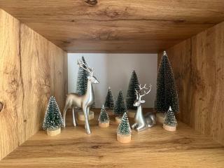 Pine forest apartments - 2