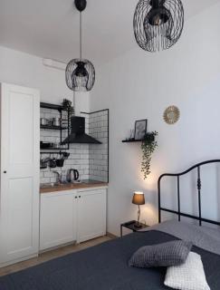 Palm park & Green studio apartment - 2