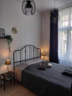 Palm park & Green studio apartment - 7