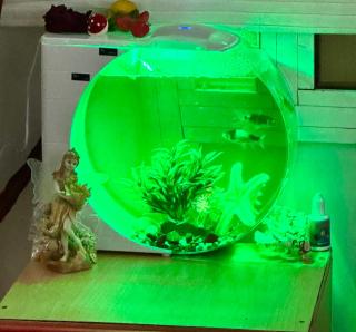 Private Guest Room with Garden Access - 7