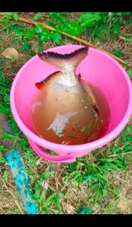 Divine home stays - 3