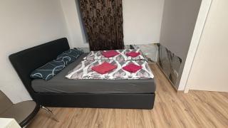 Comfortable 1BR & 1LR Apt Prime location of Vienna - 4