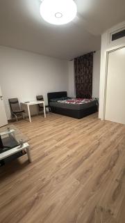 Comfortable 1BR & 1LR Apt Prime location of Vienna - 3