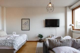 Rovaniemi City Center Apartment - 8