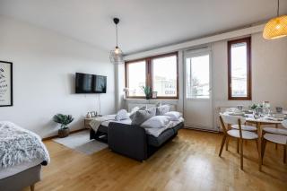 Rovaniemi City Center Apartment - 5