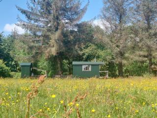 Shepherd's Hut Harmony at A Therapeutic Space - 0