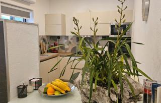 Apartman Katija Cavtat by Villas Guide - 1