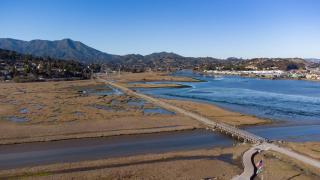 Holiday Inn Express Mill Valley San Francisco Area by IHG - 9