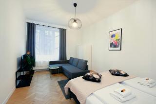 Roomy apartment Łobzowska Street - 2