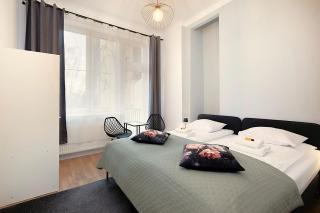 Roomy apartment Łobzowska Street - 9