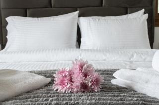 Snow Chalets Parnassos - 5