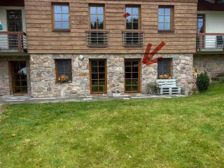 Apartmán v Srdci hor - Říčky v Orlických horách - 8