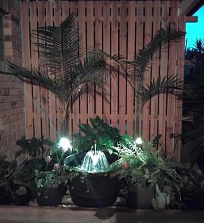 Bunya House at On Burgum Pond - 7