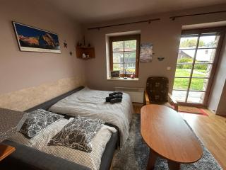 Apartmán v Srdci hor - Říčky v Orlických horách - 0