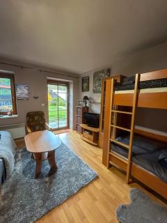 Apartmán v Srdci hor - Říčky v Orlických horách - 1