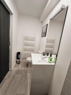 Grand Studio Lumineux Proche Centre-Ville - 2