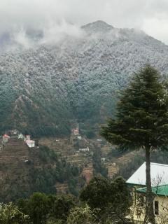 4U homes, Ramgarh, Mukteshwar- A Little Cabin, A Lot of Calm - 8