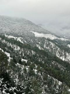 4U homes, Ramgarh, Mukteshwar- A Little Cabin, A Lot of Calm - 7