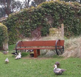 Casa Quinta El Zorzal - 7