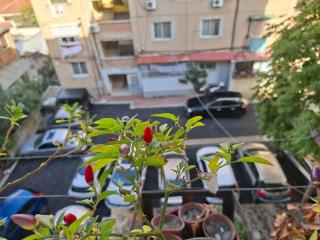 Tirana Stay Apartment - 3