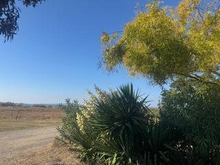 SERENITY 565 au Lac Des Rêves-camping 4 étoiles-mobil home 3ch-6pl-clim-sdb- wc séparé-au calme, belle vue sur le lac, sans vis à vis - 7