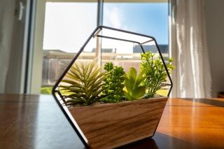 T3 tout confort , plage à pied, Garage privé - 3