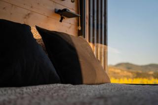 Homnest - Refuge en nature au coeur du Tarn - 5