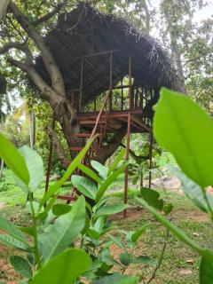 THE HIDEOUT KURUNEGALA - 2