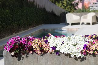 ma-la studios Guimarães - 3